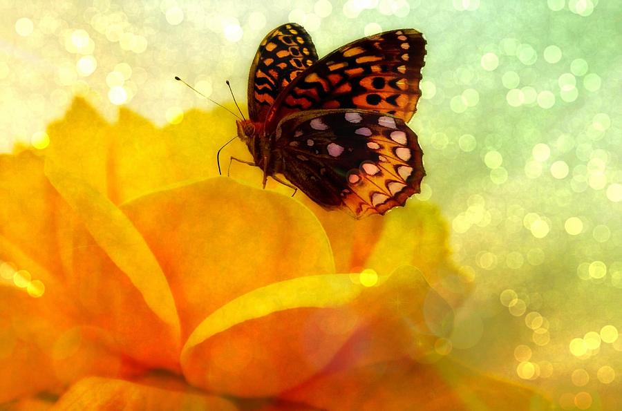 Golden World of Butterfly Digital Art by Lilia D