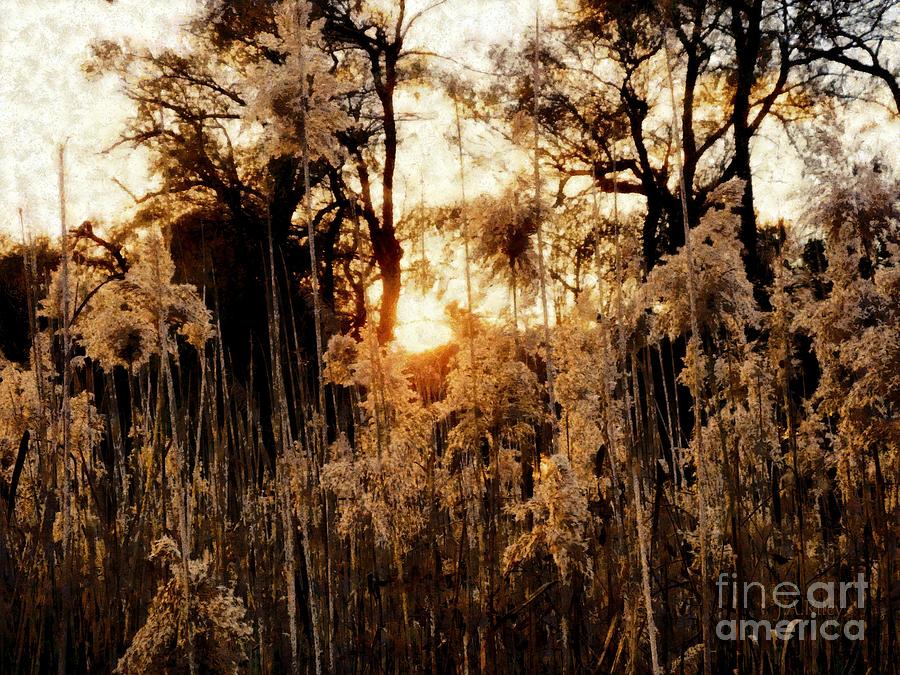 Sunset Photograph - Golden Years   by Janine Riley