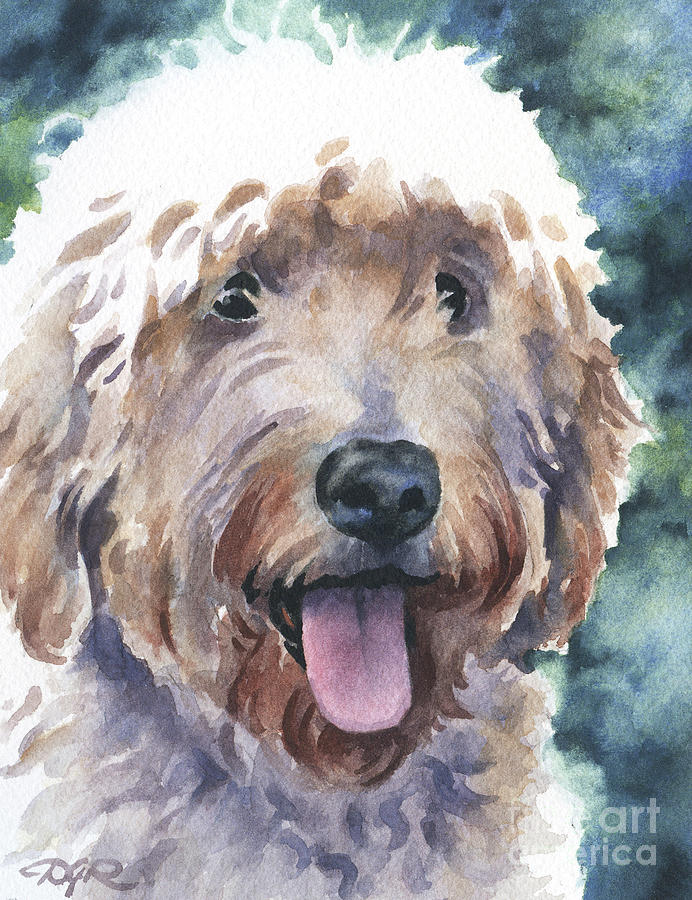 Portrait Painting - Goldendoodle by David Rogers