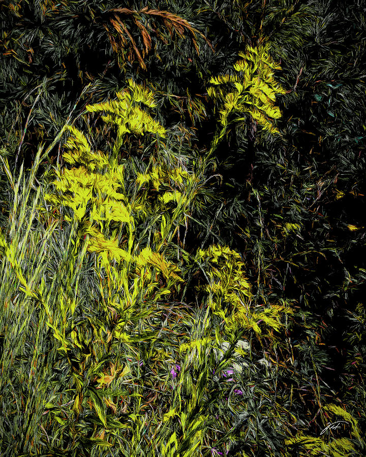 Goldenrod in the Forest Photograph by Thomas Fields