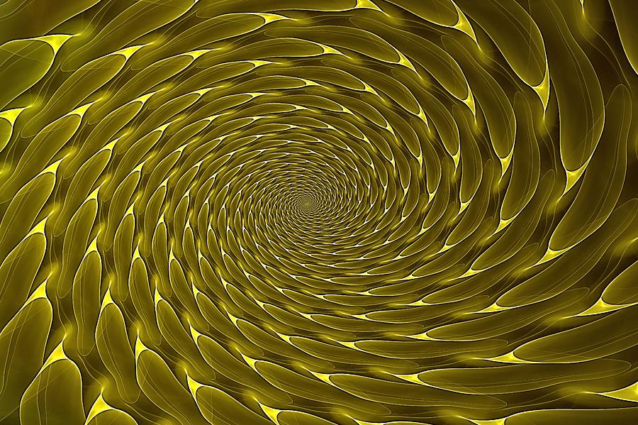 Spiral Vortex Digital Art - Goldenrod Vortex by Doug Morgan