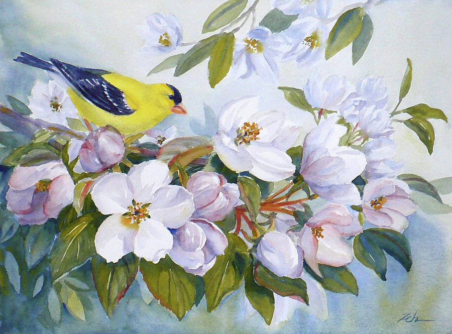 Goldfinch and Crabapple Blossoms Painting by Janet Zeh