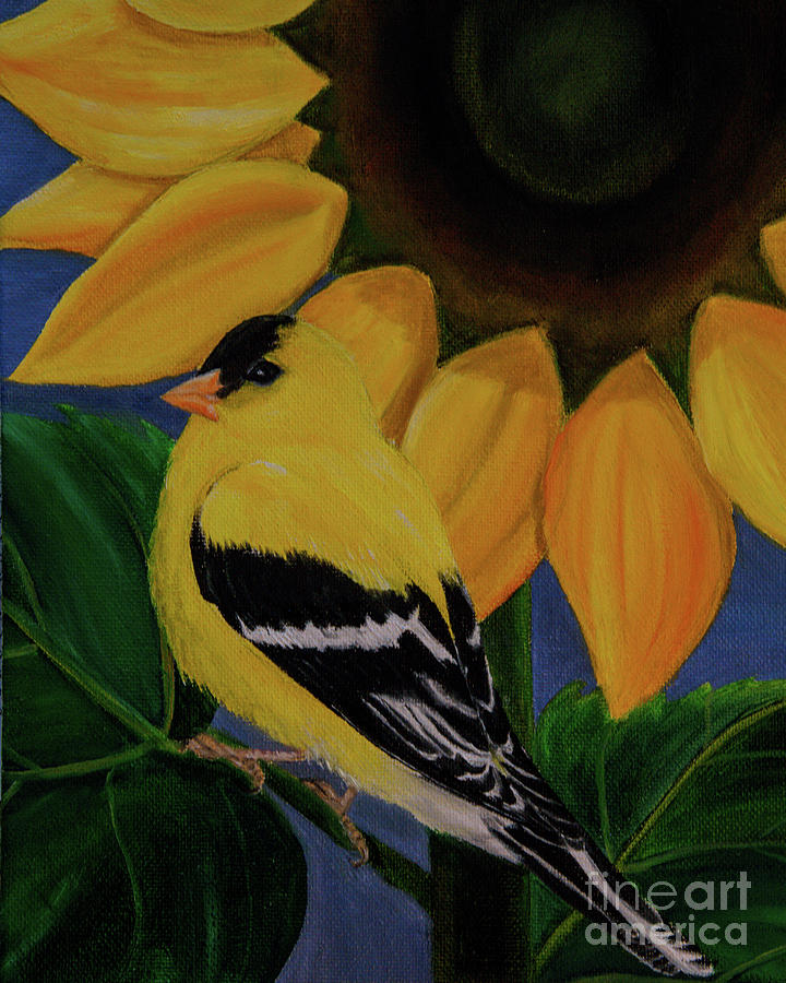 Goldfinch and Sunflower Painting by Jane Axman