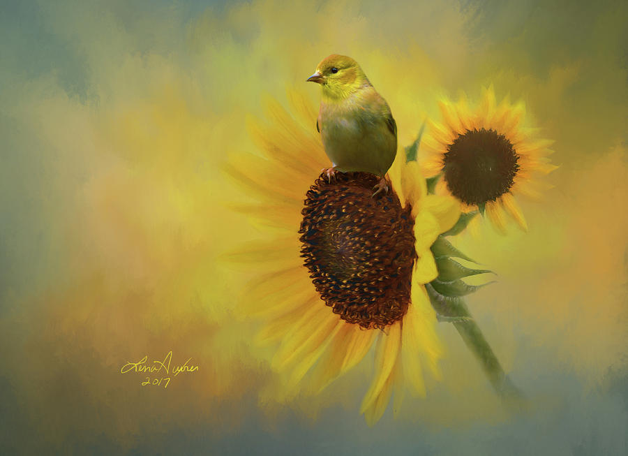 Goldfinch and Sunflower Digital Art by Lena Auxier