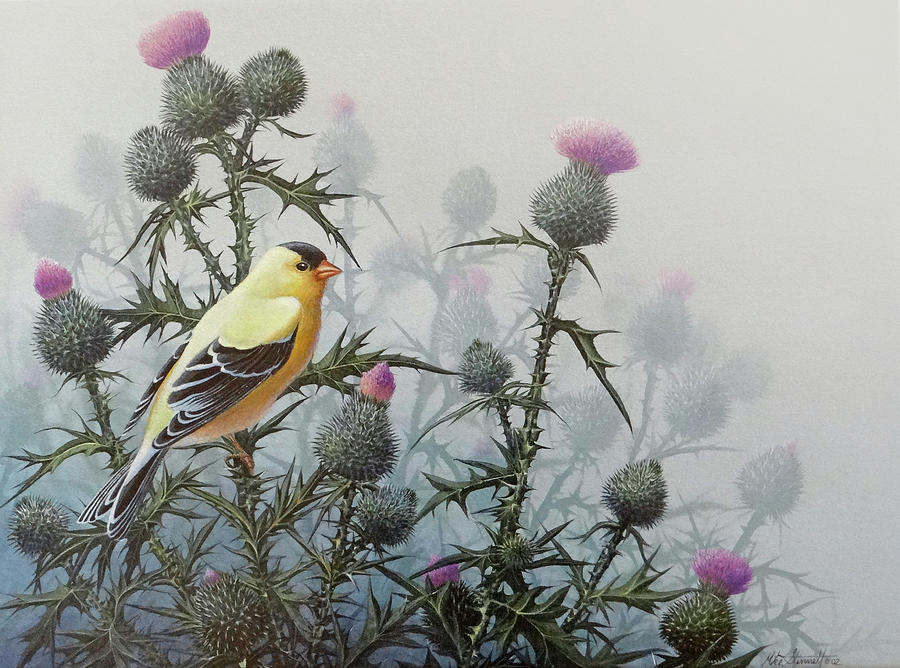 Wildlife Painting - Goldfinch and Thistles by Mike Stinnett