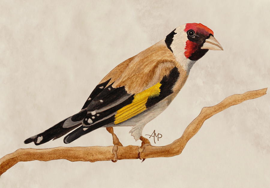 Goldfinch Painting by Angeles M Pomata