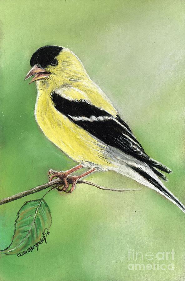 Goldfinch Painting by Charlotte Yealey