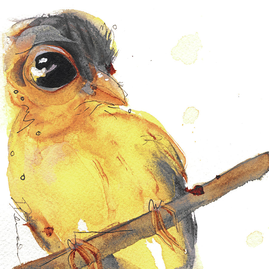 Goldfinch Painting by Dawn Derman