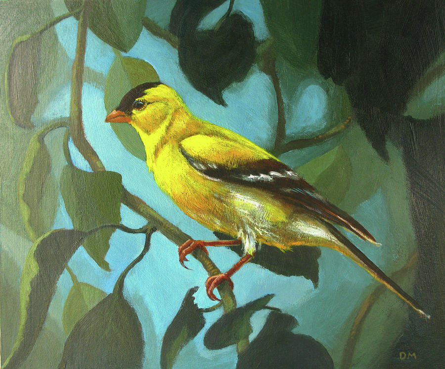 Goldfinch Painting by Don Morgan