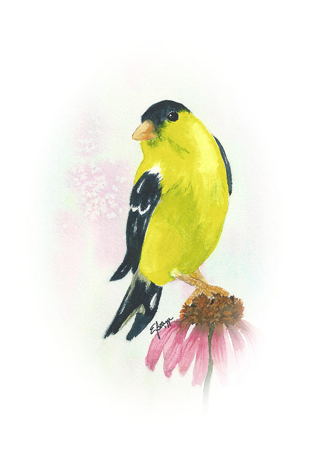 Goldfinch on Coneflower Painting by Elise Boam