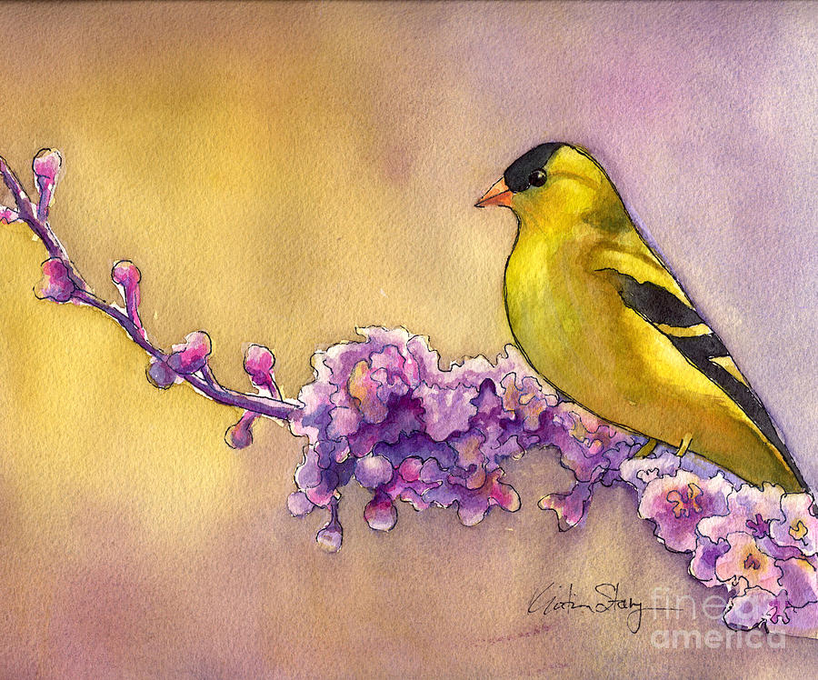 Goldfinch on Crabapple branch Painting by Kristina Storey