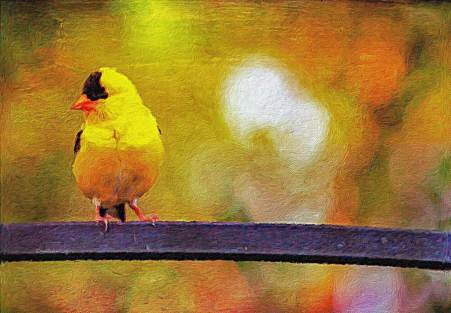Goldfinch Sitting Pretty Photograph by Diane Lindon Coy