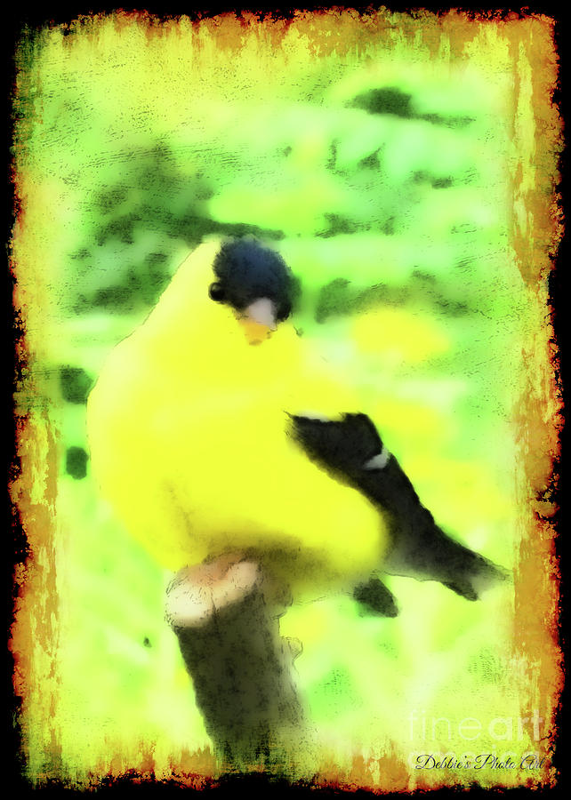 Goldfinch with grunge and watercolor effect Photograph by Debbie Portwood