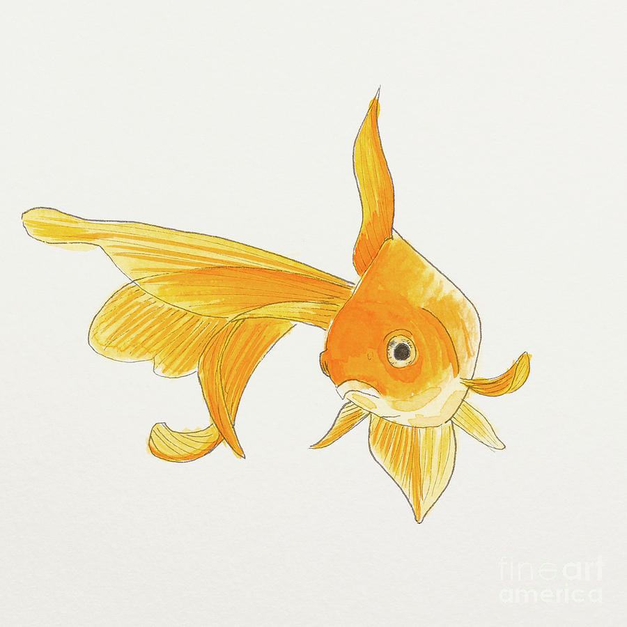 Goldfish 2 Painting by Stefanie Forck