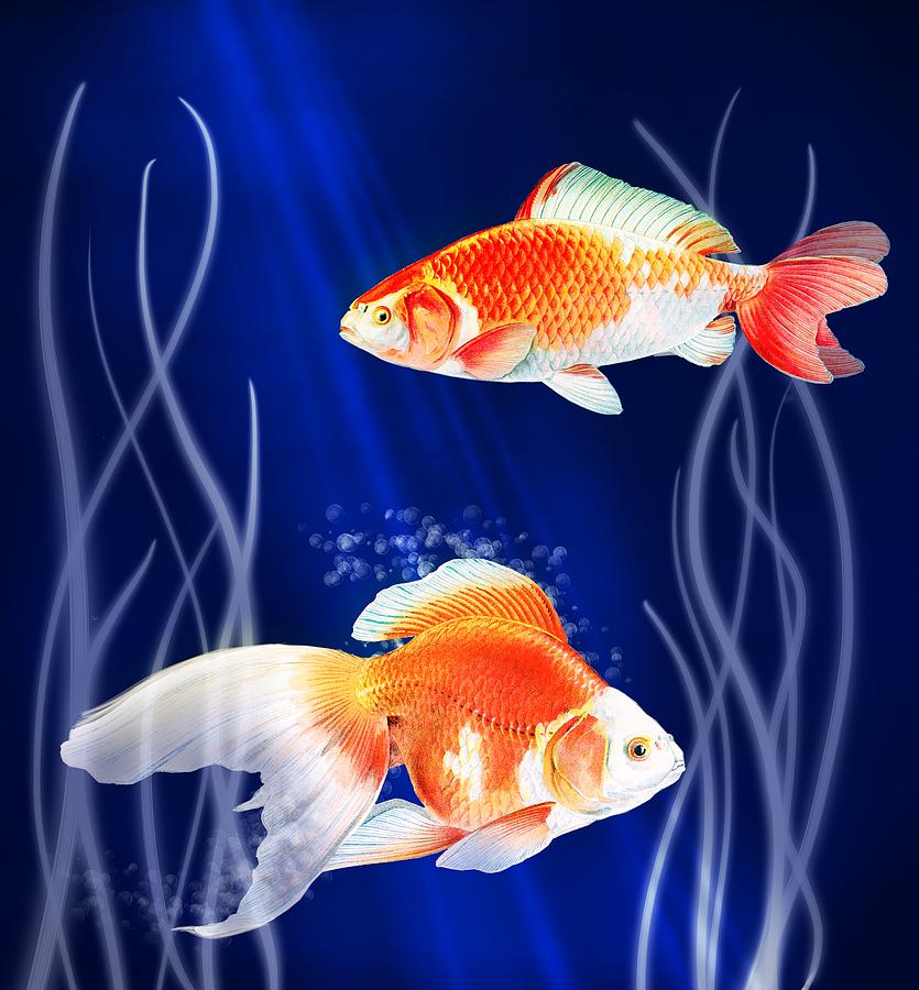 Goldfish Painting - Goldfish Aglow by Little Bunny Sunshine