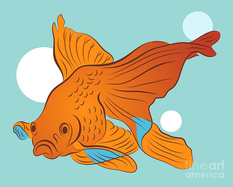 Goldfish and Bubbles Graphic Digital Art by MM Anderson