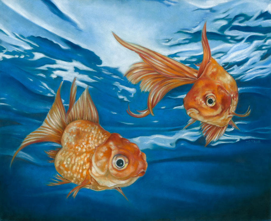 Goldfish Pastel by Greg Stair - Pixels