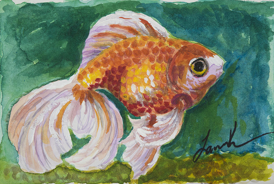 Goldfish Painting by Laura Ross - Fine Art America