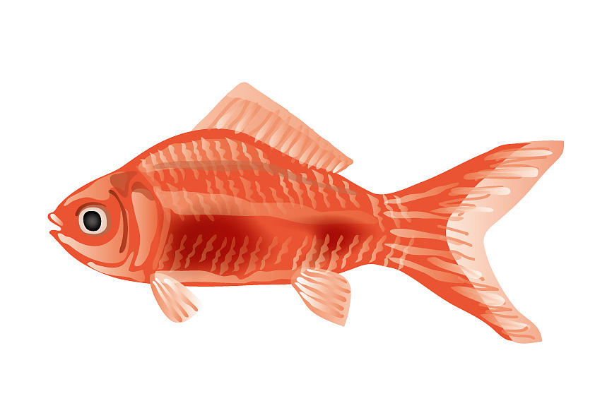 Goldfish Digital Art by Moto-hal