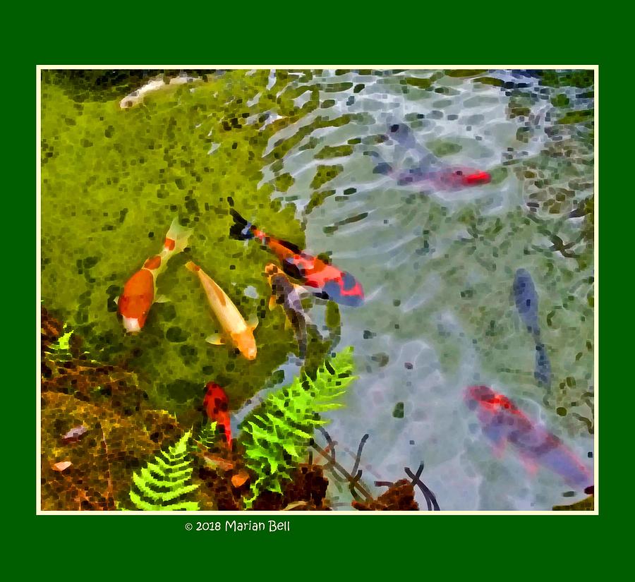 Goldfish Photograph - Goldfish Pond 2 by Marian Bell