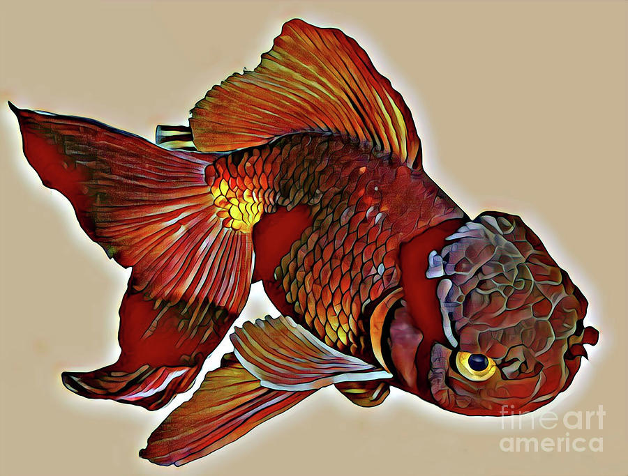 Goldfish Digital Art by Wernher Krutein