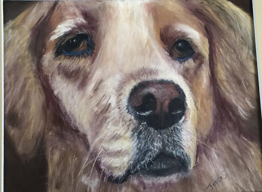 Goldie Painting by Joyce Spencer