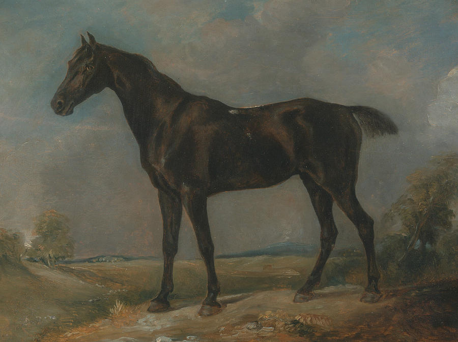 Golding Constables Black Riding Horse Painting by John Constable