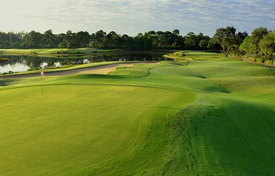 Golf at Pelican Sound Photograph by Ed Stone - Fine Art America