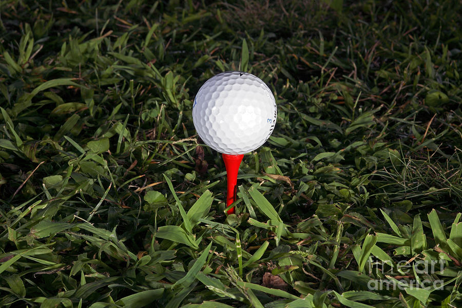 Golf Ball Photograph by Ted Kinsman