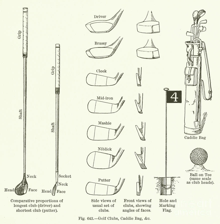 Golf Drawing - Golf Clubs, Caddie Bag, etc  by English School