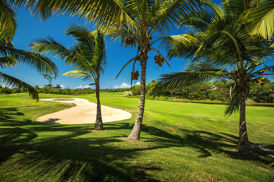 Golf course. Beautiful landscape of a golf court with palm trees