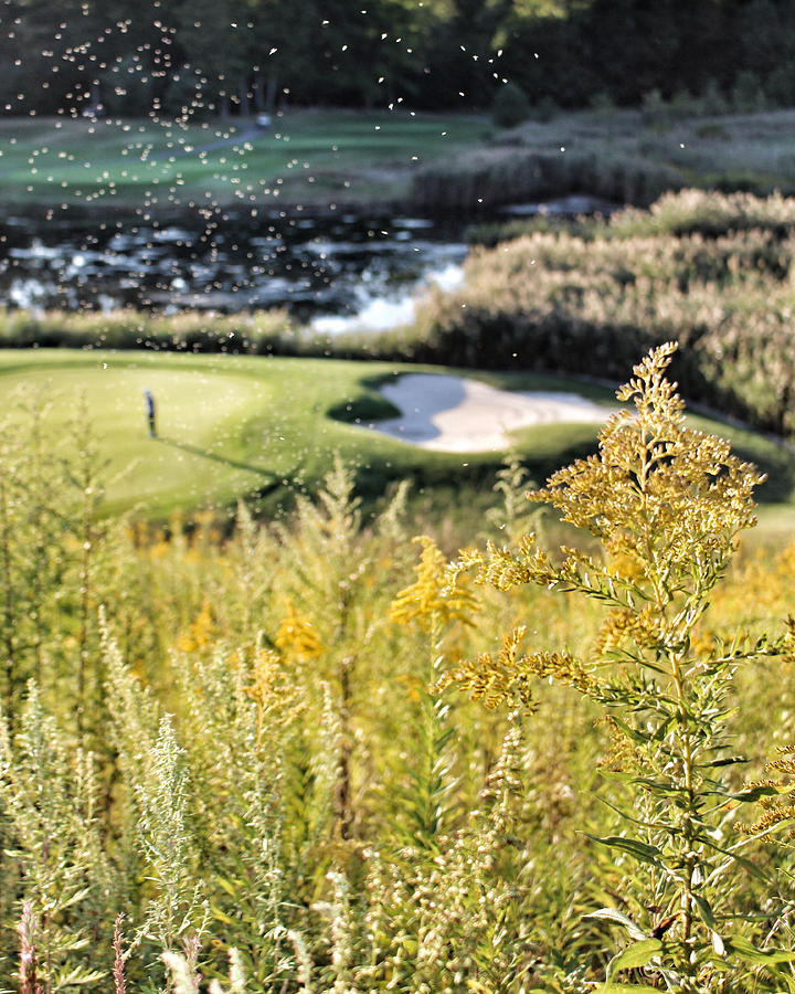 Golf - Green Peace Photograph by Jason Nicholas