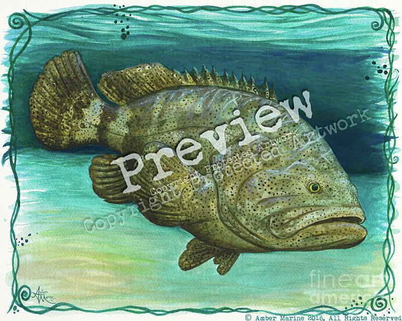 Fish Painting - Goliath Grouper by Amber Marine