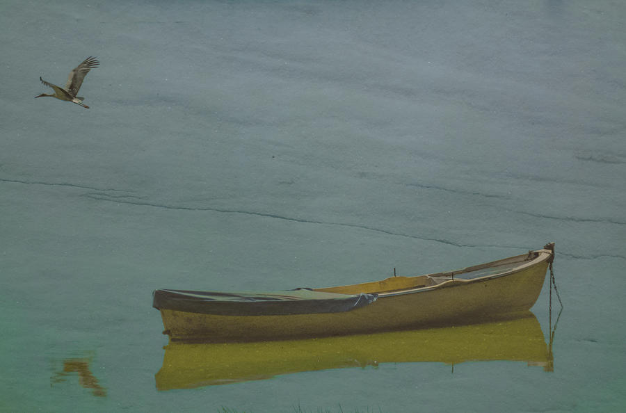 Golyazi, Turkey - Rowboat and Crane by Mark Forte Golyazi, Turkey - Rowboat and Crane by Mark Forte