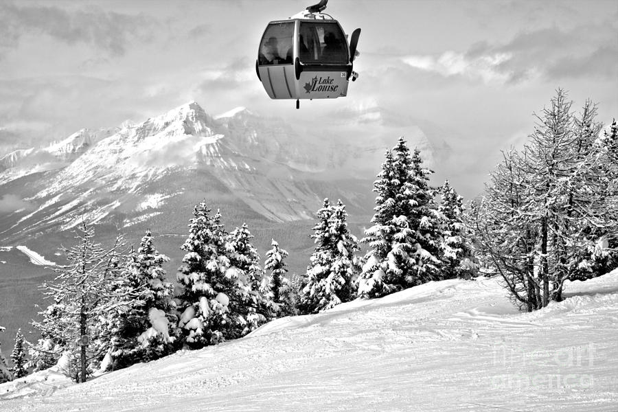 Gondola Ride Into The Canadian Rockies Black And White Photograph by Adam Jewell