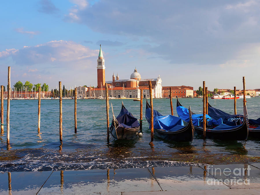 Gondolas and Bacino San Marco in Venice Italy Photograph by Louise Heusinkveld