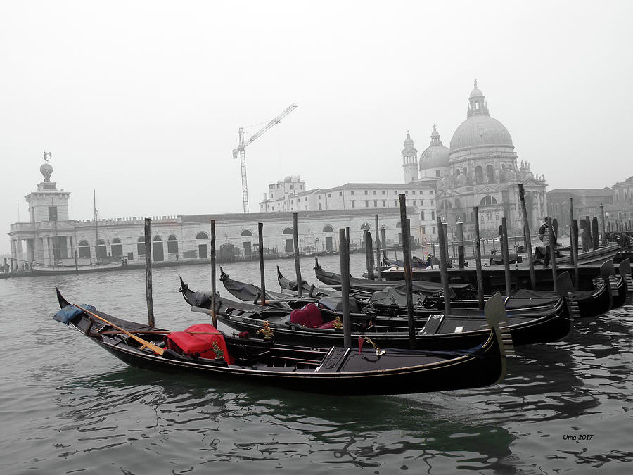 Gondolas in Venice Photograph by Uma Krishnamoorthy