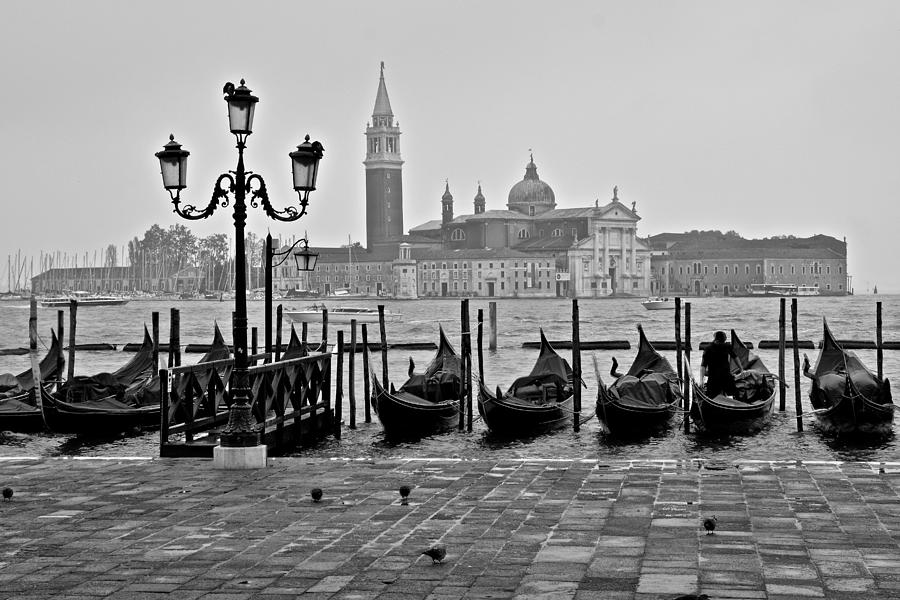 Gondolas of San Marco Square Photograph by Frozen in Time Fine Art Photography