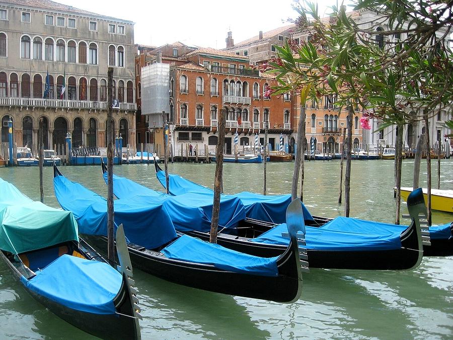 Gondolas of Venice Painting by Lisa Boyd