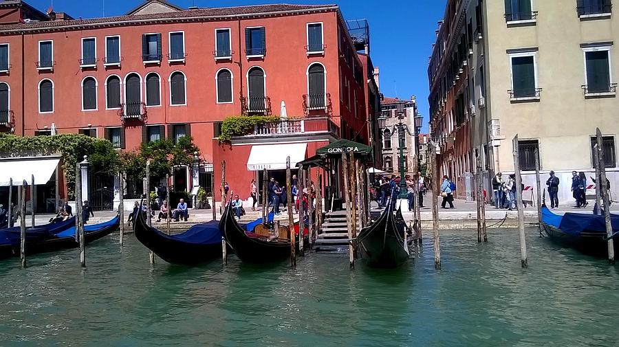 Gondolas on the Grand Canal  Venice Photograph by Rusty Gladdish