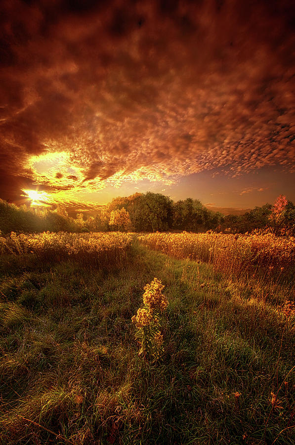 Sunset Photograph - Gone Far Away Into The Silent Land by Phil Koch