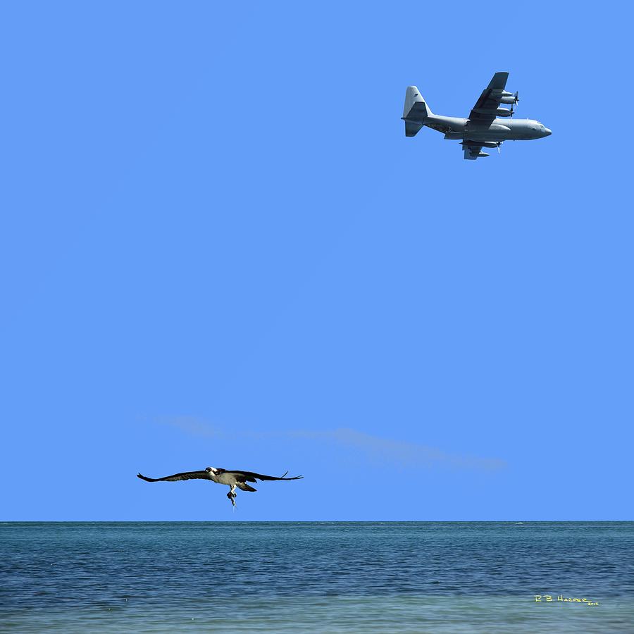 Herky Bird and Osprey Photograph by R B Harper