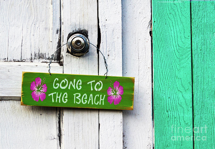 Gone To The Beach Photograph by Roselynne Broussard