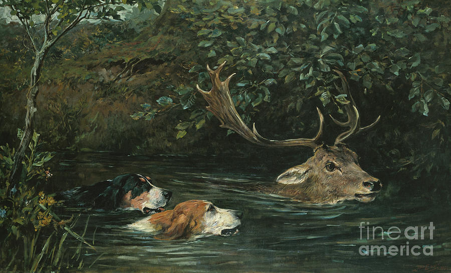 Dog Painting - Gone to Water by John Emms