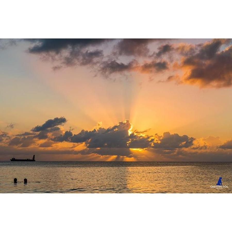 Good Evening, Grand Cayman Photograph by Creative Dog Media 