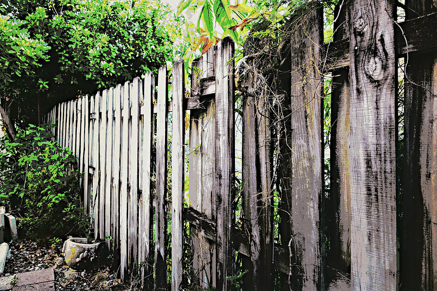 Good fences, good neighbors Photograph by Nora Martinez