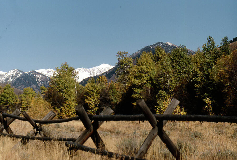 Good fences make good neighbors .... Robert Frost Photograph by John Schneider