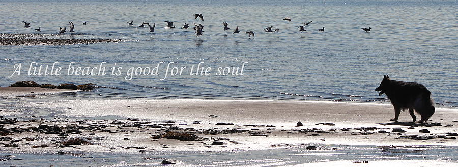 Good for the Soul Photograph by Sue Long