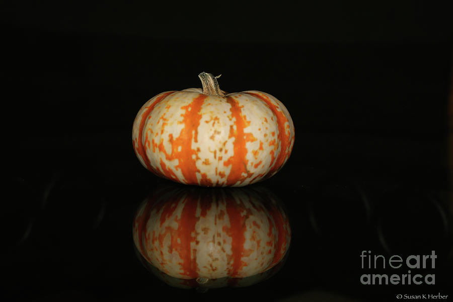 Good Gourd Photograph by Susan Herber