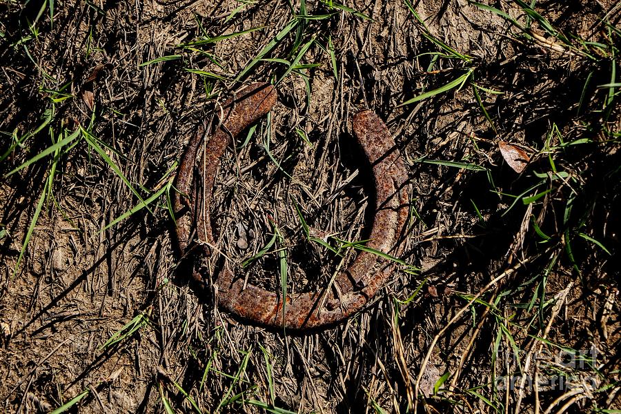 Good Luck Photograph by Daniel Casey | Fine Art America